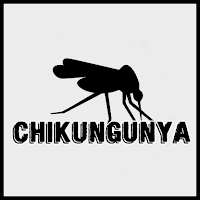 O que é a Chikungunya?