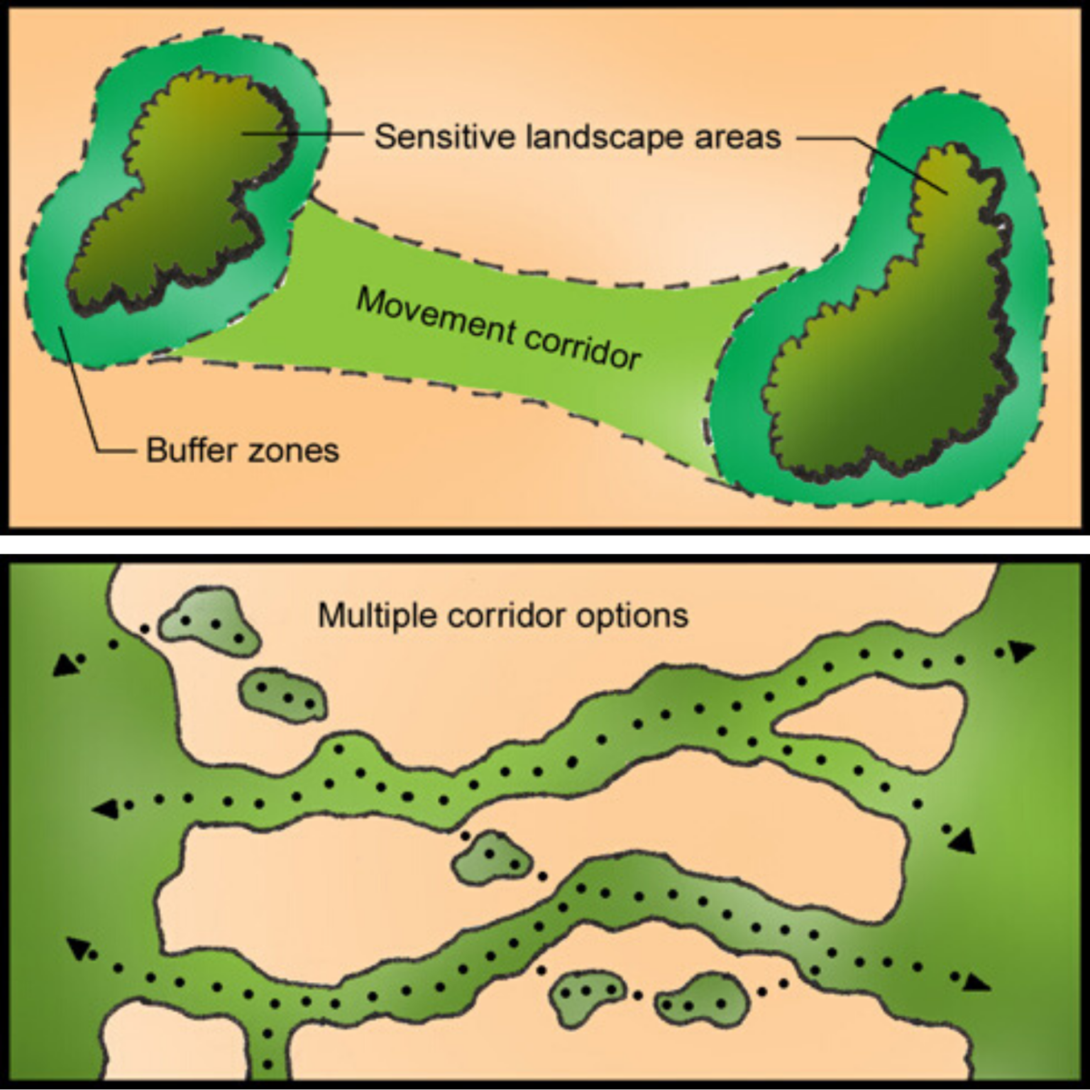 corredores-ecol-gicos-manual-da-biologia